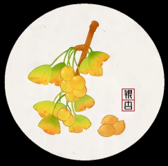 耳鸣吃银杏叶真的有用吗？耳鼻喉医生警告：这五类人吃了风险加倍